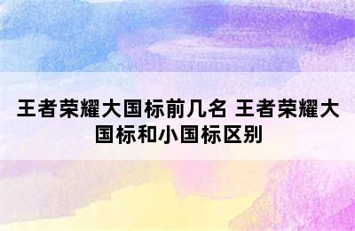 王者荣耀大国标前几名 王者荣耀大国标和小国标区别